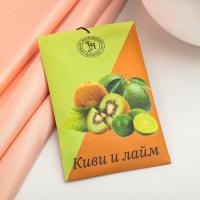 Саше ароматическое "Киви и лайм" Богатство Аромата (10 г)