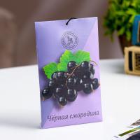 Саше ароматическое "Чёрная смородина" Богатство Аромата (10 г)