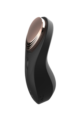 Вибратор-вкладыш в трусики с пультом дистанционного управления "Petal"