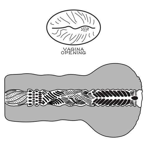 Мастурбатор Инопланетная вагина Alien's Pie №1 Black