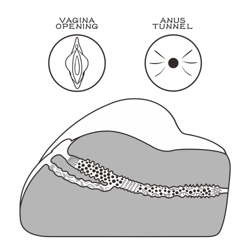 Реалистичный мастурбатор с вагиной и анусом Streetgirl's №3