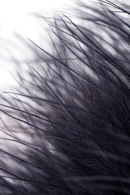 Серебристая анальная втулка с черной опушкой