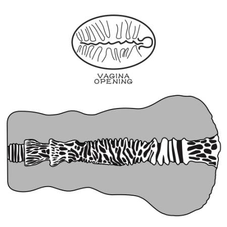Мастурбатор Инопланетная вагина Alien's Pie №2 Black