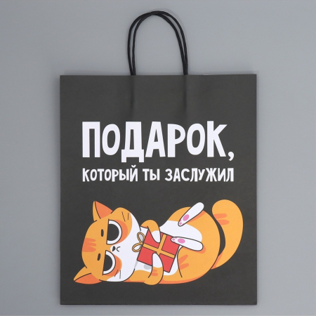 Пакет подарочный крафтовый «Киса», 28 × 32 × 15 см 9304740