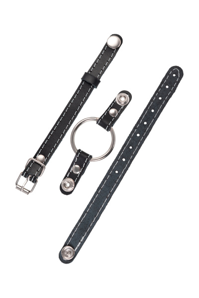 Кляп-кольцо со съемным металлическим кольцом Pecado, диаметр 39 мм