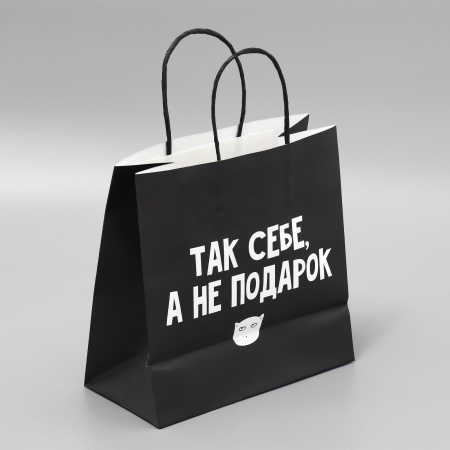 Пакет подарочный «Так себе Подарок», 22 × 22 × 11 см 3907837