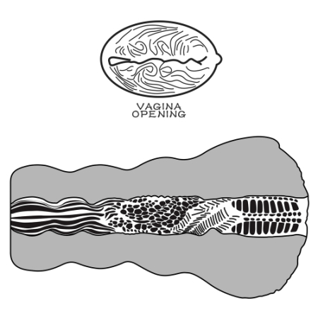 Мастурбатор Инопланетная вагина Alien's Pie №3 Black