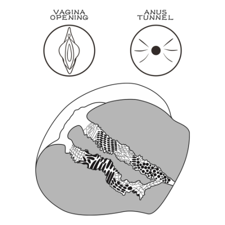 Реалистичный мастурбатор вагина и анус Streetgirl's №11