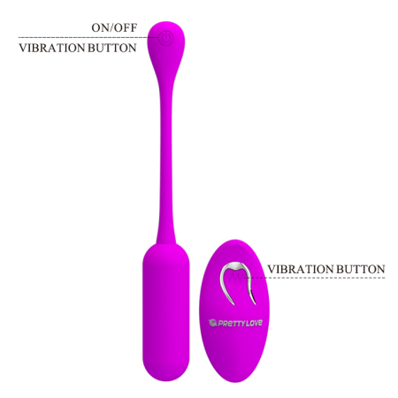 Виброяйцо с пультом Pretty Love Lechies