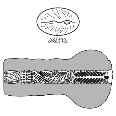 Мастурбатор Инопланетная вагина Alien's Pie №1