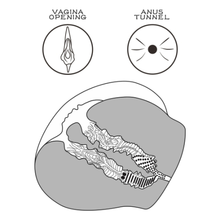 Реалистичный мастурбатор вагина и анус Streetgirl's №12