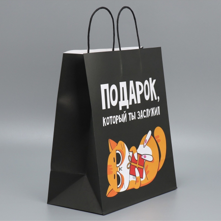 Пакет подарочный крафтовый «Киса», 28 × 32 × 15 см 9304740