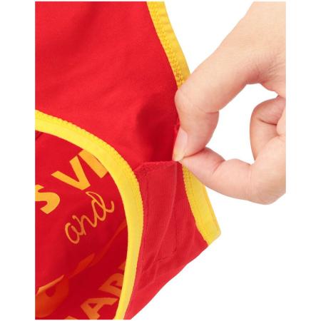 Трусики Lets Vibe XS/S с вибропулей и беспроводным пультом управления Ingen Vibrating Panties