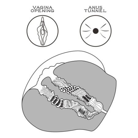 Реалистичный мастурбатор с вагиной и анусом Streetgirl's №13