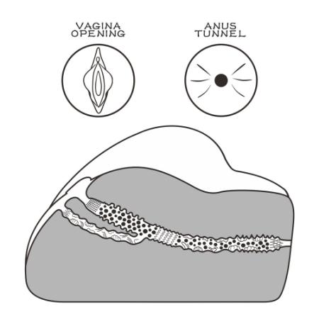 Реалистичный мастурбатор с вагиной и анусом Streetgirl's №3