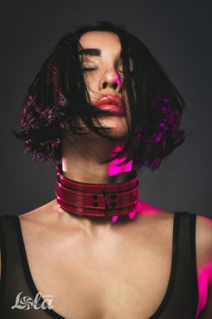 Ошейник бордовый Party Hard Eccentric