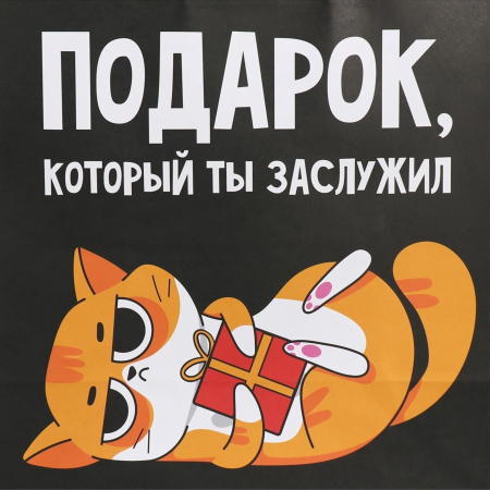 Пакет подарочный крафтовый «Киса», 28 × 32 × 15 см 9304740