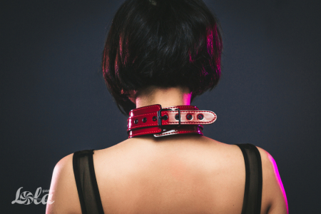 Ошейник бордовый Party Hard Eccentric