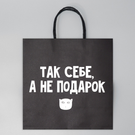 Пакет подарочный «Так себе Подарок», 22 × 22 × 11 см 3907837